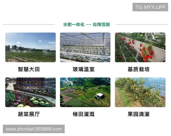 U体育官网平台的用户评价与反馈机制，提升平台服务质量的有效途径